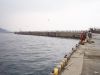熱海港海釣り施設の堤防