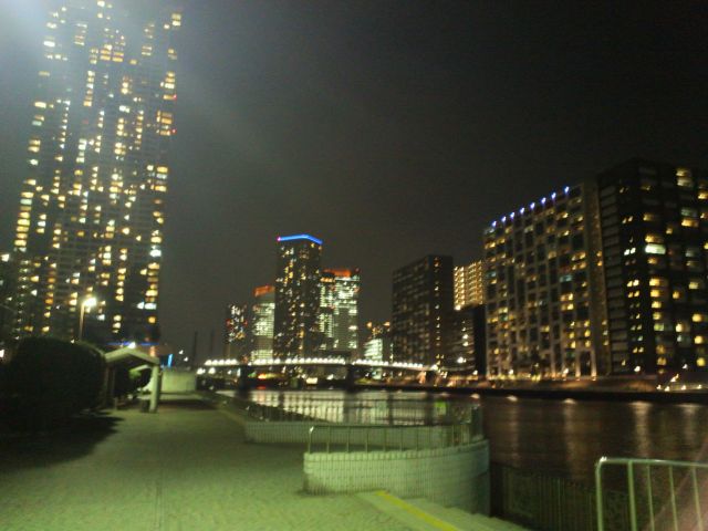 神奈川の夜釣りの釣り場 海の釣り場情報