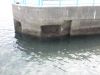 湯河原海浜公園・護岸中央 湯河原海浜公園・護岸中央