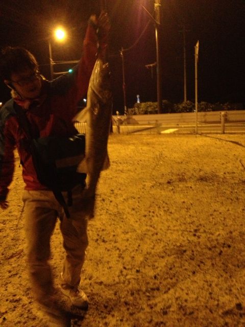 夜釣りの釣り場 海の釣り場情報