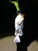 クロソイ クロソイ